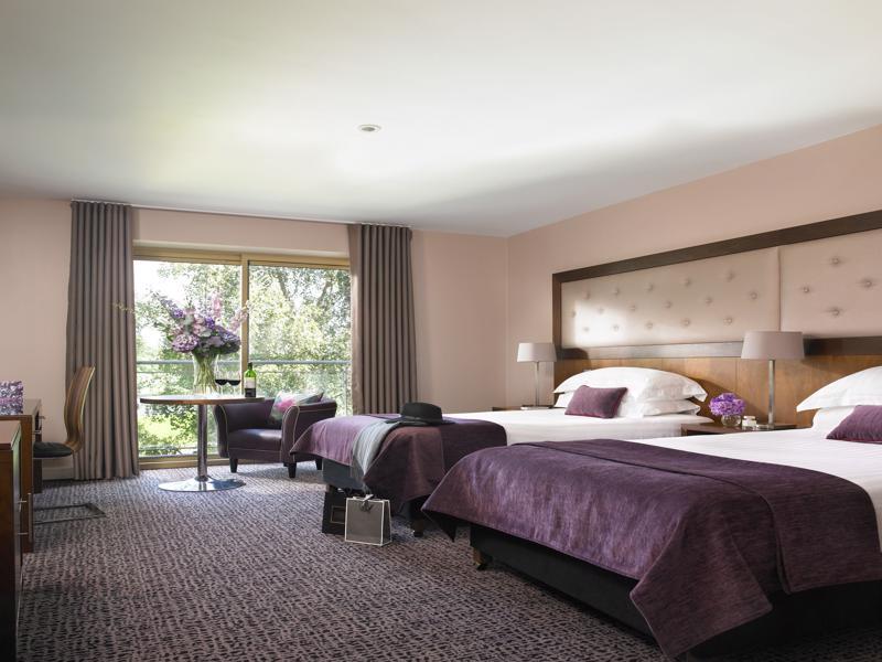 Dunboyne Castle Hotel & Spa Εξωτερικό φωτογραφία